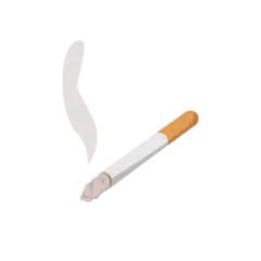 Sigara Maliyeti Hesaplama