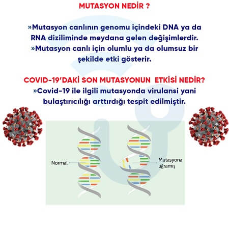 Mutasyon nedir?